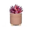 Vase Market Bricks Ribbed Tripod Ceramic Planter Pot H-4.5" D-4" (Pack Of 24)
