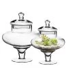 Vase Market Glass Apothecary Set Of 2. H-10", 13.5" Candy Buffet Canister
