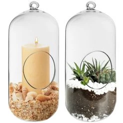 Vase Market Glass Hanging H-9.5" Terrarium Capsules Vase (Multiple Packing)