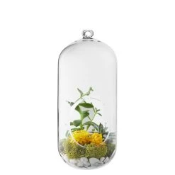 Vase Market Glass Hanging H-9.5" Terrarium Capsules Vase (Multiple Packing) -vasemark Shop bullet shape hanging terrarium gch116 09