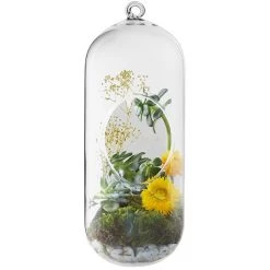 Vase Market Glass Hanging H-12" Terrarium Capsules Vase (Multiple Packing) -vasemark Shop bullet shape hanging terrarium gch116 12