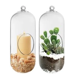 Vase Market Glass Hanging H-12" Terrarium Capsules Vase (Multiple Packing)