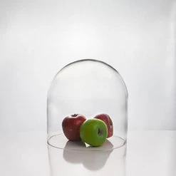Vase Market Glass Dome H-10" D-10" Cloche Bell Jar Terrarium Showcase Display (Multiple Packing) -vasemark Shop cloche dome gdo101 lifestyle 800px 2