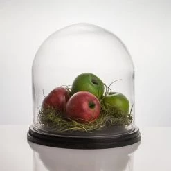 Vase Market Glass Dome H-11" D-11" Cloche Bell Showcase Display W/ Black Wood Base (Multiple Packing) -vasemark Shop cloche dome gdo101wb lifestyle 800