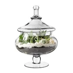 Vase Market Glass Apothecary Jar H-15" D-7.75" Candy Buffet Canister -vasemark Shop gaj109 main 02