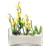 Vase Market Glass Rectangle Vase H-4" Open-8"x 4", Pack Of 3 Pcs