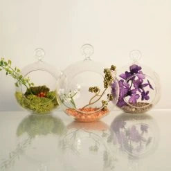 Vase Market Hanging Glass Plant Terrarium, Candle Holder. H-5.5" D-5" (Multiple Packing) -vasemark Shop gch101 04 11 8