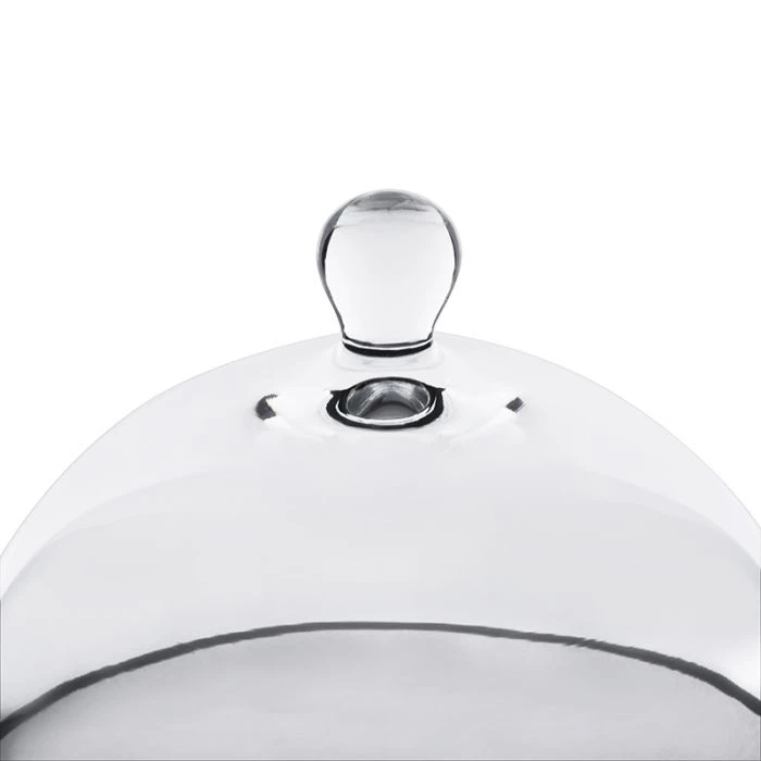 Vase Market Glass Cloche Bell H-7.5", D-8" Terrarium Dome W/ Tray (Multiple Packing) 5 Vase Market Glass Cloche Bell H-7.5", D-8" Terrarium Dome W/ Tray (Multiple Packing) - Image 5