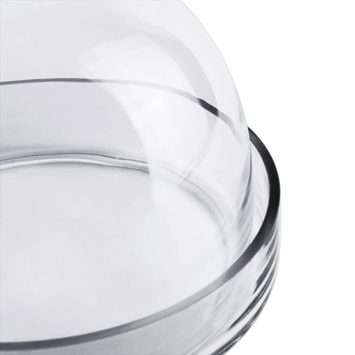 Vase Market Glass Cloche Bell H-7.5", D-8" Terrarium Dome W/ Tray (Multiple Packing) 8 Vase Market Glass Cloche Bell H-7.5", D-8" Terrarium Dome W/ Tray (Multiple Packing) - Image 8