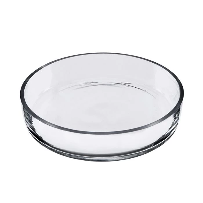 Vase Market Glass Cloche Bell H-7.5", D-8" Terrarium Dome W/ Tray (Multiple Packing) 7 Vase Market Glass Cloche Bell H-7.5", D-8" Terrarium Dome W/ Tray (Multiple Packing) - Image 7