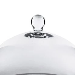 Vase Market Glass Cloche Dome Bell Jar Terrarium W/ Tray, H-8.5", D-10" (Multiple Packing) -vasemark Shop gcl109 details 02