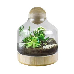 Vase Market Glass Dome W/ Wood Base & Stopper H-9.5" Body D-7" (Multiple Packing) -vasemark Shop gcu201 7 1