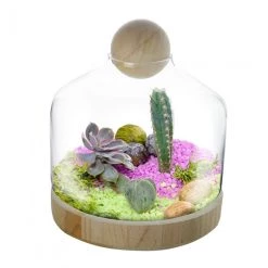Vase Market Glass Dome W/ Wood Base & Stopper H-11.5" Body D-8.75" (Multiple Packing) -vasemark Shop gcu205 plants.1000