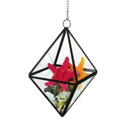 Vase Market Hanging Geometric Terrarium H-8" D-6" Metal Frame W/ Chain -vasemark Shop geometric terrarium glass mfgp060608