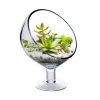 Vase Market Short Stem H-9" Open-6.5" Slant Cut Terrarium Bubble Vase (Multiple Packing)