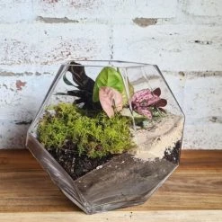 Vase Market Geometric Glass Vases, Candle Holder. H-7" -vasemark Shop ggv101 07