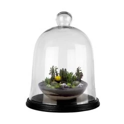 Vase Market Glass Cloche H-16.75" Dome Terrarium Ball Jar W/ Black Wood Base -vasemark Shop glass bell cloche terrarium with wood base gcl10116 wb00111bk
