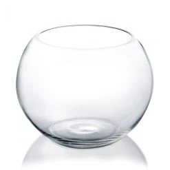 Vase Market Glass Bubble Bowl H-6" Body D-8" Terrarium Bowl (Multiple Packing) -vasemark Shop glass bubble bowl gbb003 1 1000