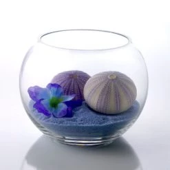Vase Market Glass Bubble Fish Bowl H-4.5" Body D-6" Terrarium Bowl (Multiple Packing) 9 Vase Market Glass Bubble Fish Bowl H-4.5" Body D-6" Terrarium Bowl (Multiple Packing) -vasemark Shop glass bubble bowls gbb002 3 1000