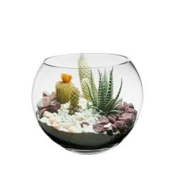 Vase Market Glass Bubble Bowl H-8" Body D-10" Terrarium Bowl (Multiple Packing) 7 Vase Market Glass Bubble Bowl H-8" Body D-10" Terrarium Bowl (Multiple Packing) -vasemark Shop glass bubble round fish bowl gbb004