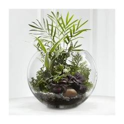 Vase Market Glass Bubble Bowl H-10" Body D-12" Large Bowl (Multiple Packing) -vasemark Shop glass bubble round fish bowl gbb105