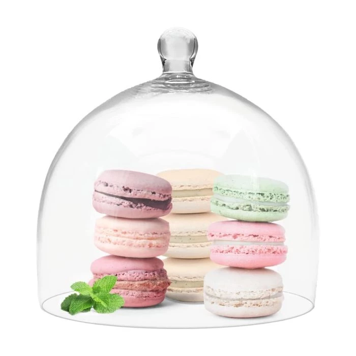 Vase Market Glass Cloche Bell H-6.75", W-6.75" Terrarium Dome, Pack Of 4 Pcs 1 Vase Market Glass Cloche Bell H-6.75", W-6.75" Terrarium Dome, Pack Of 4 Pcs