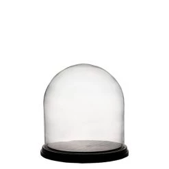Vase Market Glass Dome H-6.5' D-6.9" Cloche Bell Jar Terrarium With Base (Multiple Packing) -vasemark Shop glass cloches dome gdo110 06wb