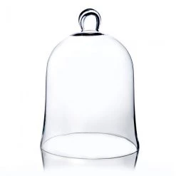 Vase Market Glass Cloche Dome Terrarium Bell Jar, H-12", D-8.2" (Multiple Packing) -vasemark Shop glass cloches gcl101 1.1000 1
