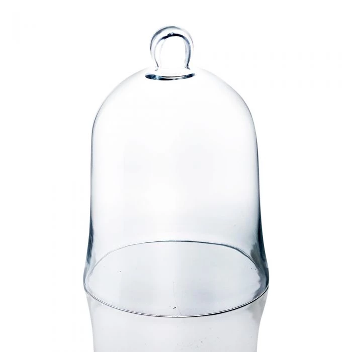 Vase Market Glass Cloche Bell Jar Dome, Set Of 2. H-16" & H-12" 5 Vase Market Glass Cloche Bell Jar Dome, Set Of 2. H-16" & H-12" - Image 5