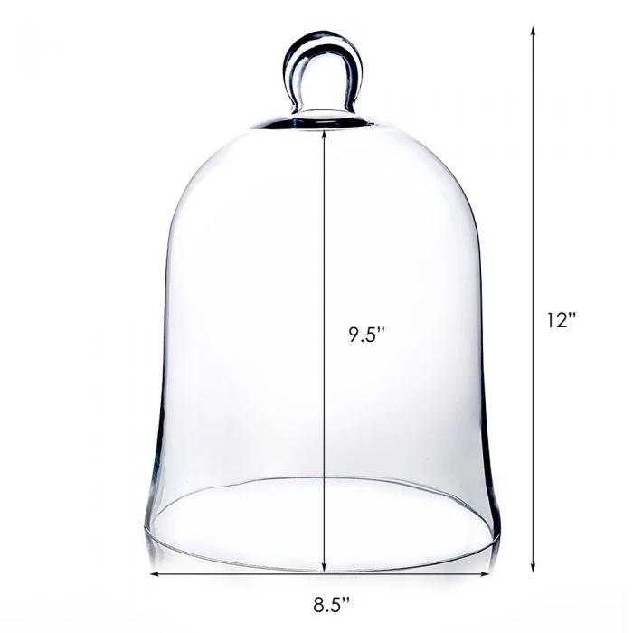 Vase Market Glass Cloche Bell Jar Dome, Set Of 2. H-16" & H-12" 8 Vase Market Glass Cloche Bell Jar Dome, Set Of 2. H-16" & H-12" - Image 8