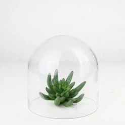 Vase Market Glass Dome H-6.5' D-6.9" Cloche Bell Jar Terrarium With Base (Multiple Packing) -vasemark Shop glass dome 6 inches gdo110 06 4 2