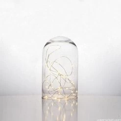 Vase Market Glass Dome Cloche H-10" D-5.75" Bell Jar Terrarium (Multiple Packing) -vasemark Shop glass dome cloche plant terrariums h 10 32 1
