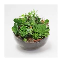 Vase Market Glass Slant Cut Bowl. H-9" D-10" Tilted Bowl Terrarium (Multiple Packing) 9 Vase Market Glass Slant Cut Bowl. H-9" D-10" Tilted Bowl Terrarium (Multiple Packing) -vasemark Shop glass slant cut bowl vase h 9 pack of 6 pcs 13