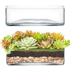 Vase Market 2 Pcs Glass Square Vase Wide Opening. H-3.25" Open-10"x 10" (Multiple Packing)