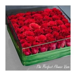 Vase Market Glass Square Vase Wide Opening. H-5" Open-14"x14" -vasemark Shop glass square vase gcb119 flwr