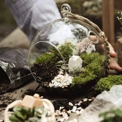 Vase Market Hanging Glass Plant Terrarium, Candle Holder. H-9 D-8" (Multiple Packing) -vasemark Shop glass terrarium orbs decor 3 3