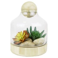Vase Market Glass Dome W/ Wood Base & Stopper H-9.5" Body D-7" (Multiple Packing) -vasemark Shop glass terrarium vase balls gcu201