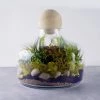 Vase Market Glass Terrarium Vase W/ Wood Stopper. H-12" Body D-10.5" (Multiple Packing)