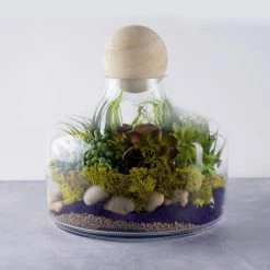 Vase Market Glass Terrarium Vase W/ Wood Stopper. H-12" Body D-10.5" (Multiple Packing)