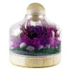 Vase Market Glass Dome W/ Wood Base & Stopper H-11.5" Body D-8.75" (Multiple Packing)