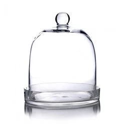 Vase Market Glass Cloche Dome H-11", D-8" Bell Jar Terrarium W/ Tray 6 Vase Market Glass Cloche Dome H-11", D-8" Bell Jar Terrarium W/ Tray -vasemark Shop glass bell dome jar 10.5 1000