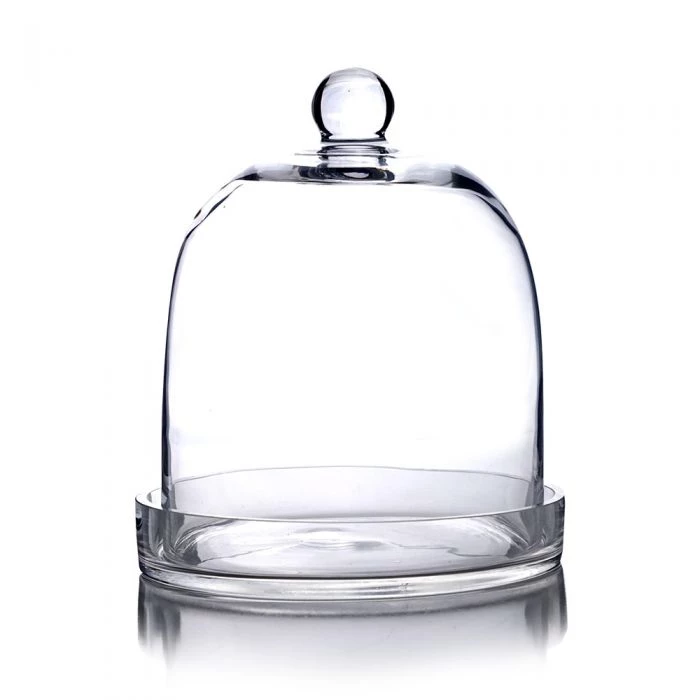 Vase Market Glass Cloche Dome H-11", D-8" Bell Jar Terrarium W/ Tray 3 Vase Market Glass Cloche Dome H-11", D-8" Bell Jar Terrarium W/ Tray - Image 3