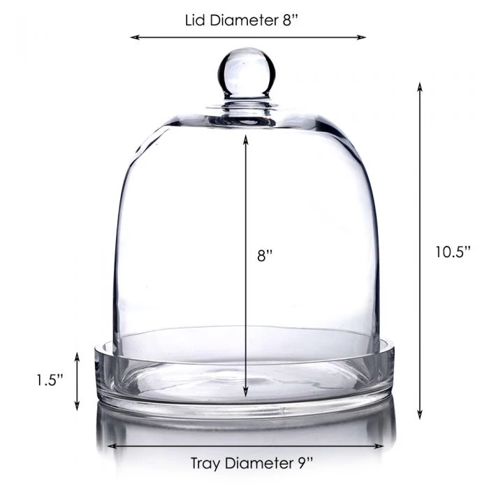 Vase Market Glass Cloche Dome H-11", D-8" Bell Jar Terrarium W/ Tray 2 Vase Market Glass Cloche Dome H-11", D-8" Bell Jar Terrarium W/ Tray - Image 2