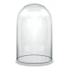 Vase Market Glass Dome Cloche H-10" D-5.75" Bell Jar Terrarium (Multiple Packing)