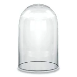 Vase Market Glass Dome Cloche H-10" D-5.75" Bell Jar Terrarium (Multiple Packing)