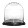 Vase Market Glass Dome H-11" D-11" Cloche Bell Showcase Display W/ Black Wood Base (Multiple Packing)
