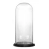 Vase Market Glass Dome Cloche H-14.5" D-6.9" Bell Jar With Wood Base