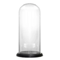 Vase Market Glass Dome Cloche H-14.5" D-6.9" Bell Jar With Wood Base
