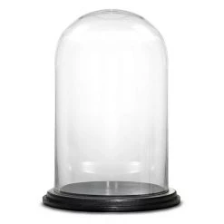 Vase Market Glass Dome Cloche H-11" D-7" Bell Jar With Wood Base (Multiple Packing)