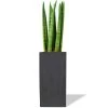 Vase Market Wood Square Planter Box W/ Zinc Liner Gray H-10" Open-5"x5" (Multiple Packing)